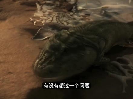 你以为鱼是自己爬上岸的?错了,它们是被赶上来的#鱼类进化史