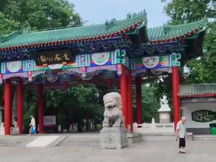 河北邯郸丛台公园,来邯郸玩值得打卡#邯郸 #邯郸丛台 #邯郸景点
