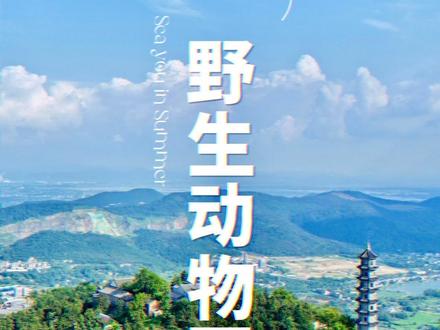 “合肥新动物园落户庐江冶父山”消息再次确认!