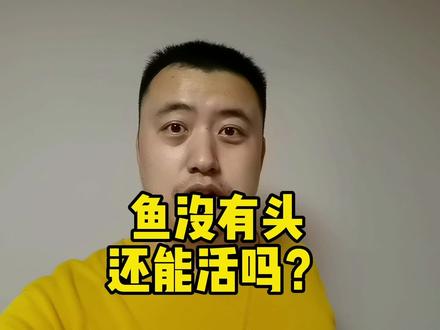 鱼没有头还能活吗? #鱼坚强 #黄金眼镜蛇雷龙 #无头鱼