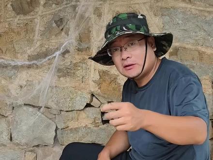 不完全变态的土鳖#土元 #网络热门生物鉴定 #昆虫