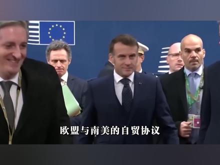 鸡蛋与粪便齐飞,欧盟南美自贸协议遭激烈抗议,欧洲农民担心南美农产品冲击 #硬核深度计划 #全球记者手记