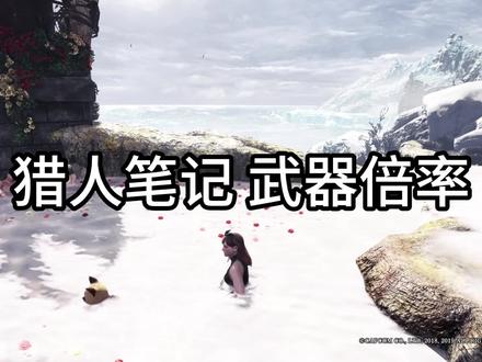 猎人笔记 武器倍率
#怪物猎人 #steam游戏