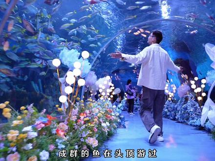 昆明地铁直达!4万多平的花都海洋世界把深海的浪漫搬来了!#昆明旅游 #海趣花都海洋世界 #畅游海趣马上有钱 #来南方过冬 #冬日暖暖游云南