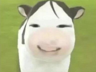 高考状元和榜眼居然和我是一个班主任!#高考状元