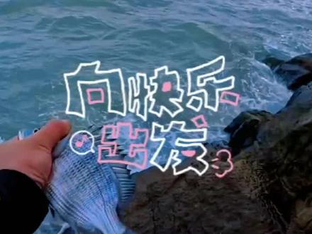 珠海外伶仃岛海钓游玩攻略,你想要的这里都有!#外伶仃岛 #海钓 #钓鱼的乐趣只有钓鱼人懂 #浮游矶钓 #海边生活才够浪