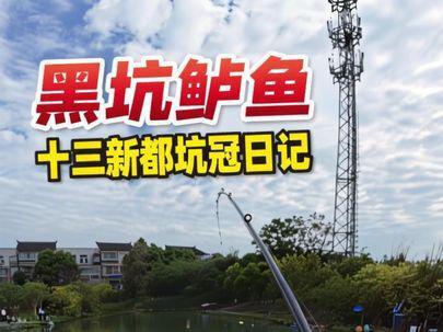 春季黑坑鲈鱼怎么钓 从天而降的竿法➕复合亮片完美对接#黑坑鲈鱼技巧 #原来钓鱼才是抖音运动顶流 #黑坑盘老板