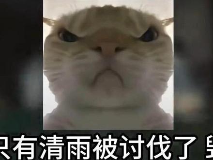 大家怎么看待清雨毁号事件呢?#清雨毁号 #三角洲毁号 #三角洲行动 #三角洲