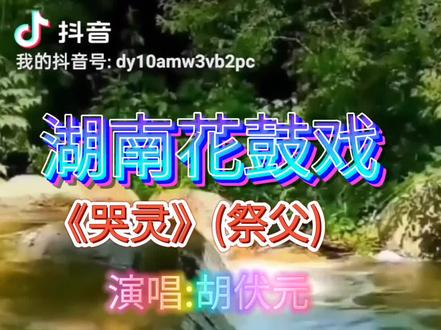 #弘扬戏曲文化 花鼓戏巜哭灵》之《祭父》,刘母调(南手西湖),胡伏元倾情演唱。#感谢聆听 #祝大家平安健康 !