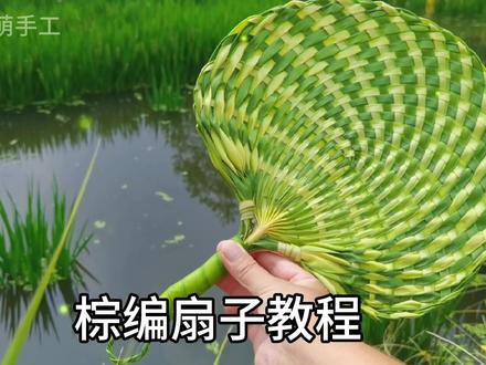 棕叶编织扇子教程,用树叶编织一把好看的扇子,太有趣了! #棕叶编织