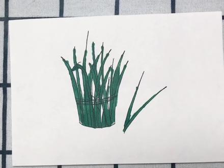秋天到了,收获满满的韭菜,我们一起用画笔来绘画吧!万物皆可画