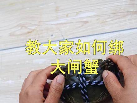 今天教大家如何捆绑大闸蟹?一看就会,你学会了吗?#抓螃蟹 #大闸蟹 #创作灵感 @抖音小助手