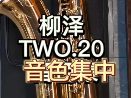柳泽次中音高端!
wo20音色集中