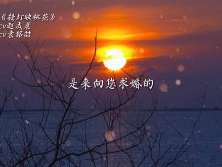 凤凰回忆周晖求婚的那天……#提灯映桃花 #袁铭喆 #赵成晨 #淮上 #声优都是怪物 #广播剧