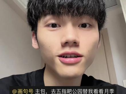 开满春夏的月季花#日常vlog #月季花