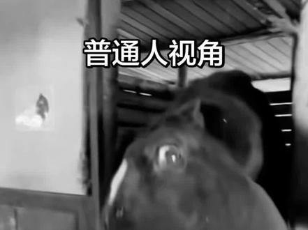 可爱的马#抽象#阴间#小马宝莉