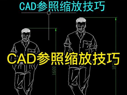 CAD参照缩放技巧
#cad #cad讲堂 #cad教程