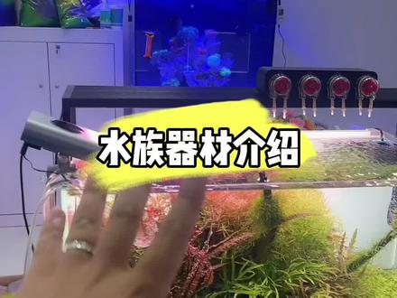 #草缸造景 #造景 #生态缸 #玻璃中的大自然 #水族用品 水族器材介绍