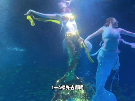 南京海底世界怎么样,1-4楼层游玩路线,表演时间表一一奉上#很哇塞的周末#江苏周末很哇塞#海底世界战马奇技嘉年华#好好旅行节#南京海底世界