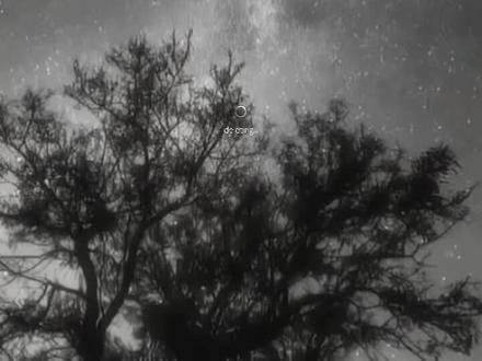 3.28看《白日提灯》#迪丽热巴