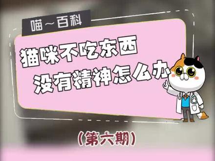 猫主子不吃东西没精神我们该怎么办!#铲屎官和他的主人 @帅气包子脸 @抖音小助手