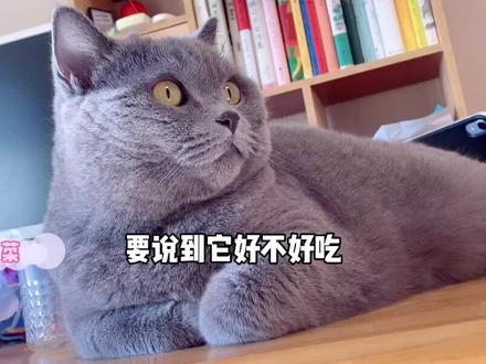 北海巨妖到底是啥? #大王乌贼 #白菜和杜比 #科普