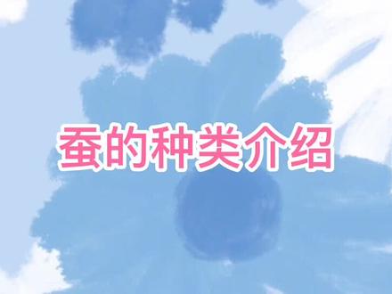 一分钟了解蚕的种类~#蚕宝宝成长记 #养蚕日记 #蚕茧 #科普 #蚕 #昆虫