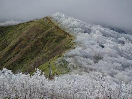 为什么有些山体一半冰雪,一半森林?分析来了! #地理 #高中 #高考