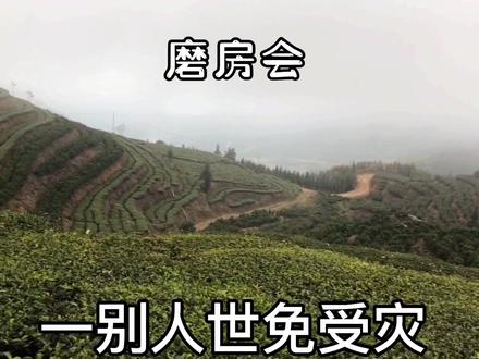 张长城 范泽华《十六年夫妻才团圆》
