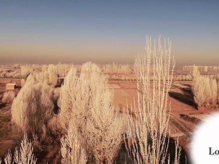 大疆无人机辅助影像开启全教程 大疆无人机辅助影像开启教学来啦!超详细实操步骤,新手也能一键搞定,开启后飞行更安全,避障、定位更精准,飞手必备小技巧✅
#大疆 #大疆无人机 #大疆Mavic4Pro #无人机教学 #无人机操作教学