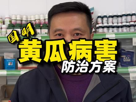 黄瓜种植病害大全,防治方案#农业种植 #农技推广 #黄瓜种植 #种植管理技术