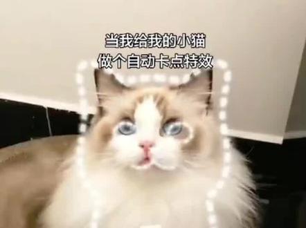 自动喵喵disco教程 自动喵喵disco特效教程 自动喵喵disco用不了 自动喵喵disco 自动喵喵disco怎么拍 自动喵喵特效 自动喵喵disco特效制作 自动喵喵disco怎么制作 自动喵喵disco搞笑视频 自动喵喵discooo特效 自动喵喵disco教程 自动喵喵disco像素教程 自动喵喵disco教程分享 自动喵喵教程 自动喵喵disco 阿米嘎蒂朵喵喵歌剪映 阿米嘎蒂朵喵喵特效 喵喵disco 自动喵图教程 自动喵喵disco特效 自动喵喵disco特效教程 自动喵喵disco特效制作 自动喵喵disco特效素材 自动喵喵disco特效攻略 自动喵喵disco特效怎么拍 自动喵喵disco特效手势舞 自动喵喵disco特效音乐 自动喵喵disco特效有哪些 disco特效在哪里找 喵喵disco特效教程 喵喵disco特效制作教程 阿米嘎蒂朵喵喵disco特效 自动喵喵disco用不了 喵喵disco特效 自动喵喵disco特效 disco特效在哪里找 抖音喵喵disco特效怎么制作 喵喵disco特效搞笑 喵喵disco特效模板 喵喵disco特效教程 disco特效在哪里找 喵喵disco 喵喵特效高音跳跃攻略 喵喵特效制作教程 喵喵特效怎么弄 喵喵特效搞怪 喵喵特效无滤镜 喵喵特效使用教程 喵喵特效同款 自动喵喵disco特效教程 自动喵喵disco像素教程 disco特效在哪里找 喵喵disco 动感disco特效 喵喵特效怎么弄 自动蹦迪特效 喵喵特效使用教程 自动wave特效 魔性disco特效 自动咪咪discooo 小猫跳舞怎么拍 小猫图片 猫咪运镜卡点教程 布偶猫可爱瞬间 布偶猫特效教程 小猫跳舞的视频怎么做 猫咪跳舞特效 猫咪转场视频卡点教程 小猫跳舞卡点视频 随时随地开唱喵喵歌 阿米嘎蒂朵喵喵disco特效 自动喵喵disco 自动喵喵disco我怎么用不了 自动喵喵discooo特效 自动喵喵特效 discooo 自动喵喵disco特效 discooo手书 为什么没有喵喵disco特效 discooo原版#随时随地唱喵喵歌 #自动咪咪discoco#萌宠翻唱 #即梦ai#ai创作