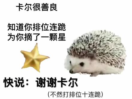 多么善良的卡尔 快谢谢卡尔 #刺猬🦔 #卡尔 #王者荣耀