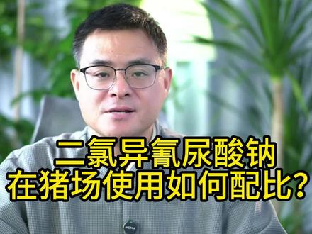 4月19日猪场使用二氯异氰尿酸钠如何配比?