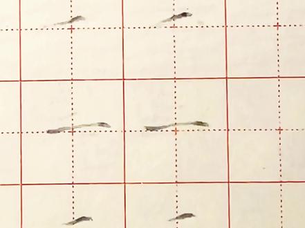 掌握这个练字方法,轻松搞定带横画的字#基本笔画 #硬笔书法#书法培训#少儿书法#少儿教育