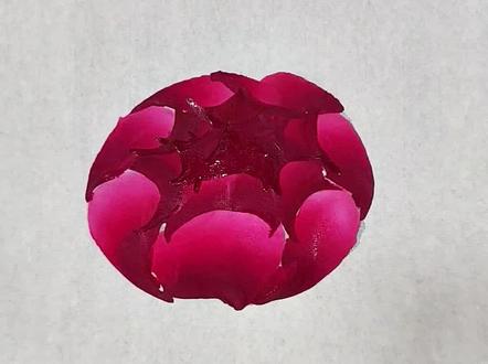 一分钟学会牡丹花切花心#零基础学牡丹#小白一学就会