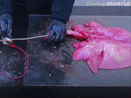 一次性烟嘴过滤器,各种粗的细的都可以用,快给家人安排起来吧~#吸烟有害健康传播正能量#吸烟有害健康#提升幸福感好物