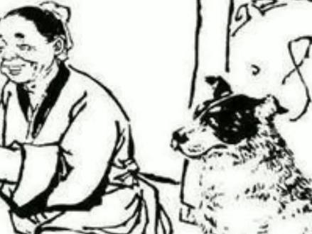 #民间故事 #狗 #故事 民间有句俗语,叫鸡不过六载,狗不过八年,你知道这是为什么吗? @DOU+小助手