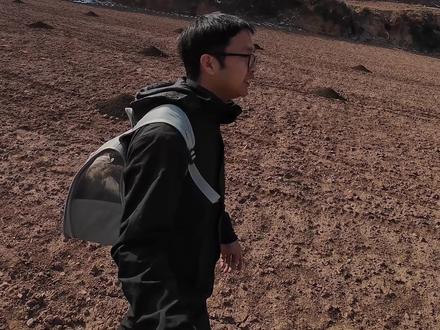 探访全国特有甜百合,兰州百合,原来真的很甜,晚上住店休整, 又被小猫划伤了#带猫看世界 #床车自驾 #特产 #萌宠