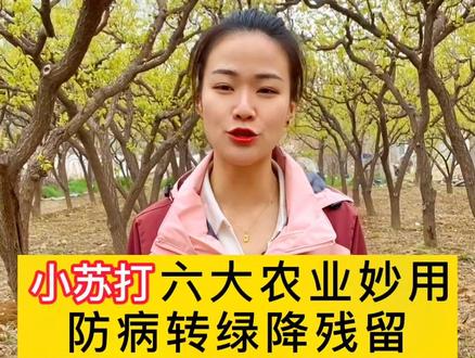 小苏打六大农业妙用,防病增产降残留#三农 #小苏打 #农业种植
