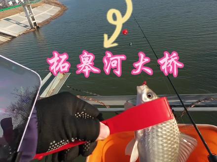 柘皋河的3小时#原来钓鱼才是抖音运动顶流 #户外钓鱼日常 #2025duo钓鱼