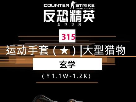 #csgo 运动手套(★)|大型猎物