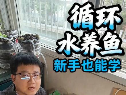 AI + 鱼菜共生系列: 第一期 这一期是基础的循环水系统演示
#涂鸦 #鱼菜共生 #循环水养殖