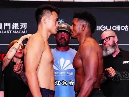 下山虎张名扬再次被首回合TKO! #张名扬 #综合格斗 #MMA