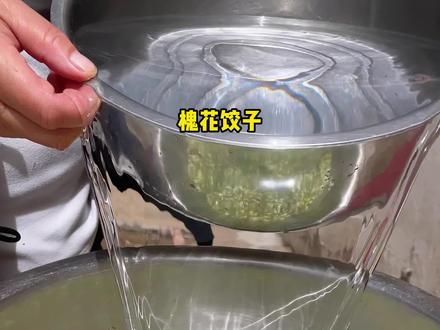 槐花饺子 春季限定美食——槐花饺子,鲜香味美,绿色健康,你可不能错过啊#槐花饺子 #季节限定 #河南美食 #槐花 #小时候味道
