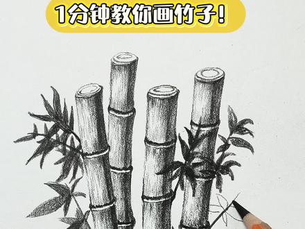 1分钟教会你画可爱的小竹子! #绘画教程 #画画我是认真的 #素描 #零基础学画画