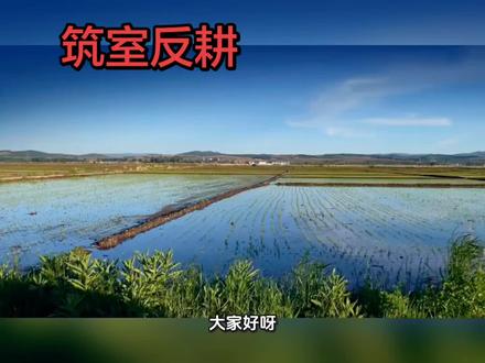 筑室反耕打一最准确生肖 “筑室反耕”是一个军事成语,字面意思是建造营房,让士兵回家取来农具准备耕种。它实际上指军队做长期驻扎的准备,以此向对手展示决不撤退的决心,从而形成强大的心理威慑,迫使对方尽快投降或决战。
这个典故出自《左传·宣公十五年》。春秋时期,楚国围攻宋国长达数月,楚军故意在宋国境内“筑室”(建造房子)、“反耕”(让士兵回乡耕田),摆出长期占领的架势。宋国果然中计,担心被长期围困,最终被迫求和。
简单理解:这招的核心不是真的要种地,而是用“打持久战”的姿态,逼迫对手屈服。#特别的花给特别的妈妈 #老年人妈妈装70-80岁 #筑室反耕打一最准确生肖 #假甲片穿戴美甲