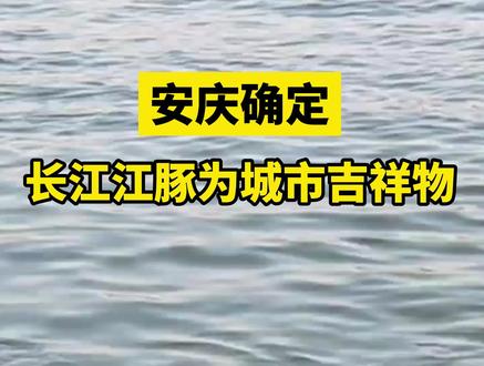 安庆确定长江江豚为城市吉祥物 #微笑天使 #长江江豚