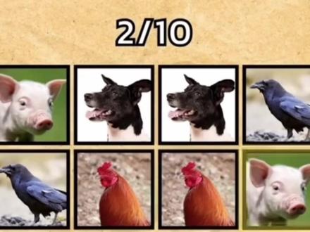 不同倍速《魔丸站在温度计上》反复品尝 #鬼畜