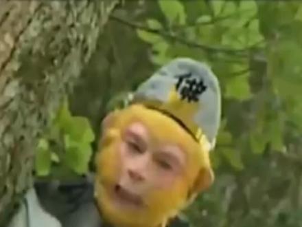 悟空大一战豹子精。#影视剪辑 #西游记 @抖音小助手